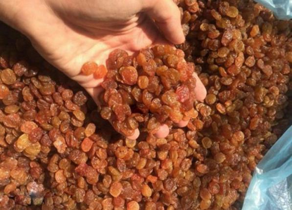 خاصیت آنتی اکسیدانی کشمش سلطانی مرغوب