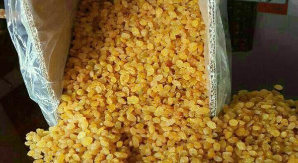 فروشگاه عرضه کشمش تیزابی ارگانیک درجه یک