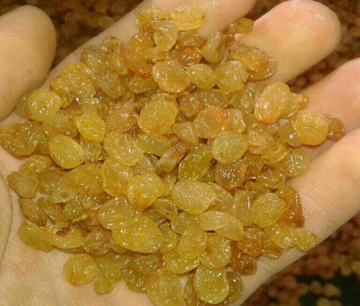 پخش کلی کشمش سلطانی مرغوب در همدان