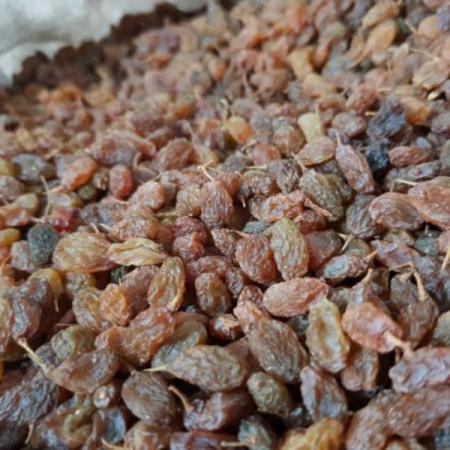 قیمت فروش کشمش پلویی عمده در بازار