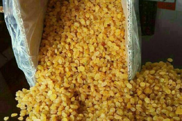 قیمت خرید عمده کشمش پلویی زرد