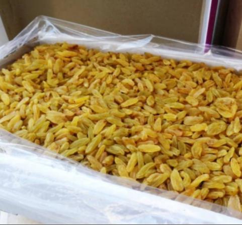 شرکت بازرگانی کشمش زرد صادراتی