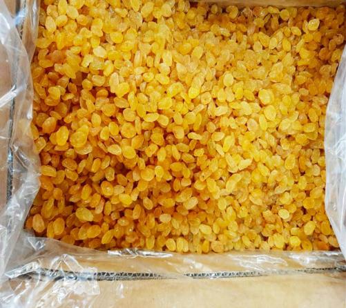 خرید فله ای کشمش پلویی کارتونی ارزان