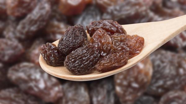 مرکز پخش کشمش تیزابی پلویی