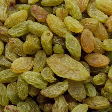 توزیع مستقیم کشمش سبز ارگانیک