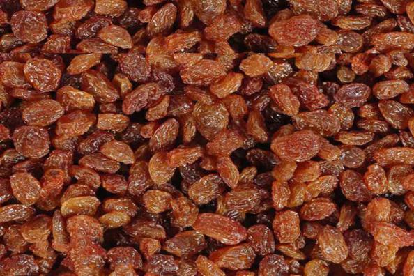 از کجا کشمش تیزابی تهیه کنیم؟