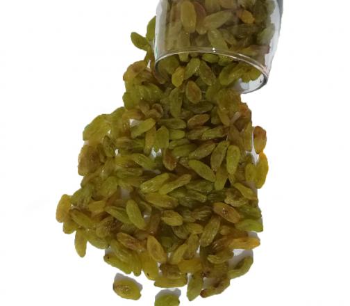 فروش عمده کشمش سبز کاشمر