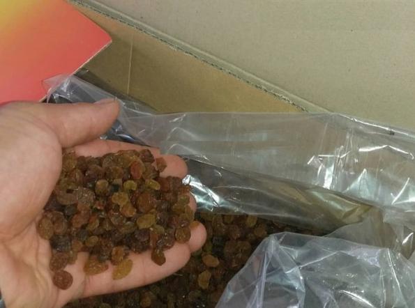 خرید ارزان کشمش تیزابی بی دانه بصورت عمده