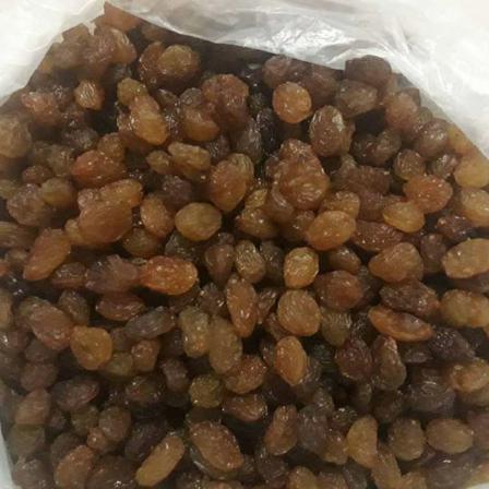 پخش کنندگان کشمش تیزابی درجه یک در کاشمر