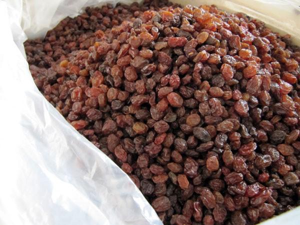 تقویت حافظه با کشمش سایه خشک