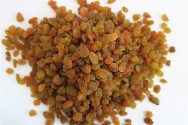 تهیه کشمش پلویی ارگانیک بدون مواد شیمیایی