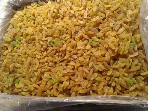 فروشنده انواع کشمش سبز کارتونی