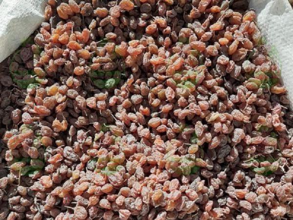 مشخصات کلی کشمش پلویی