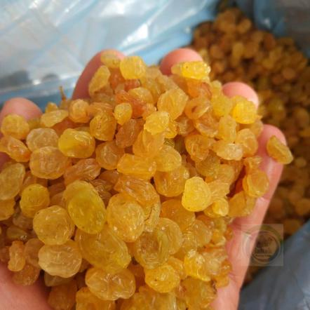 بهترین مرکز پخش کشمش پلویی