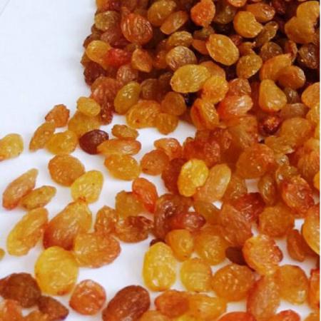 قیمت خرید کشمش تیزابی طلایی در سال جدید