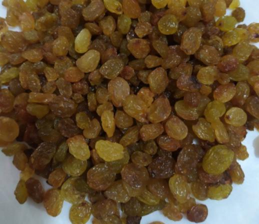 عرضه کشمش طلایی صادراتی