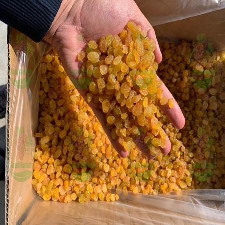 مراحل فراوری کشمش تیزابی