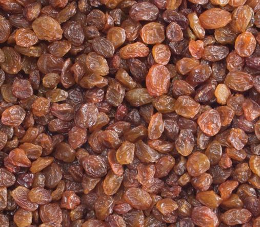 خرید عمده کشمش تیزابی پلویی بدون واسطه